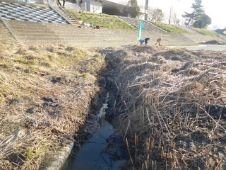 DSCN2313.JPG
