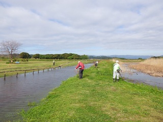 RIMG0506.JPG
