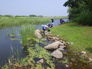 RIMG1209.JPG
