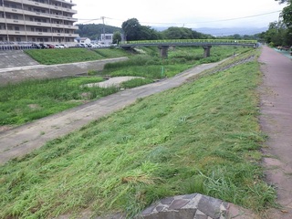 RIMG1232.JPG